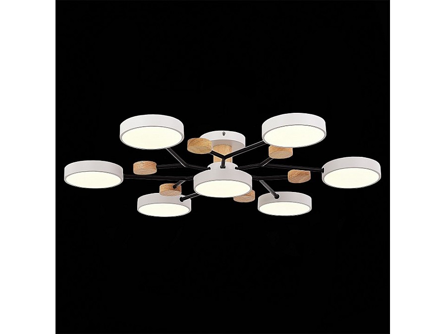 Потолочная люстра EVOLUCE Faema SLE6006-502-07