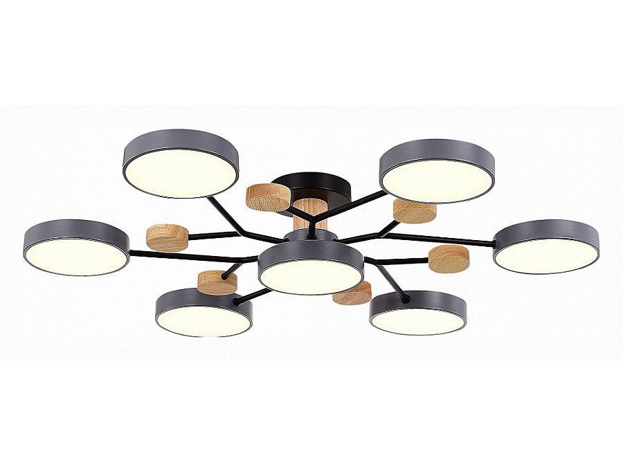 Потолочная люстра EVOLUCE Faema SLE6006-702-07