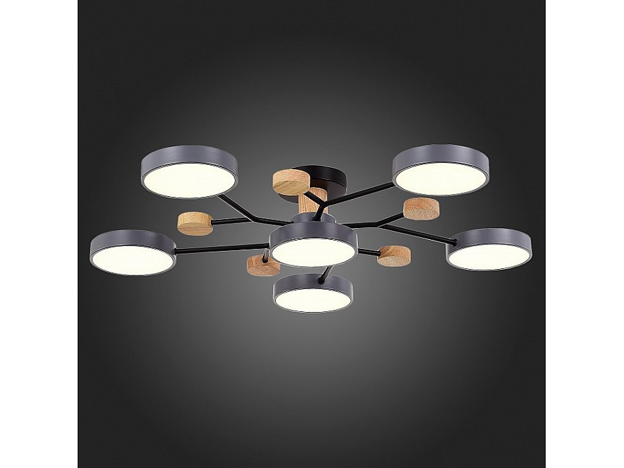 Потолочная люстра EVOLUCE Faema SLE6006-702-06