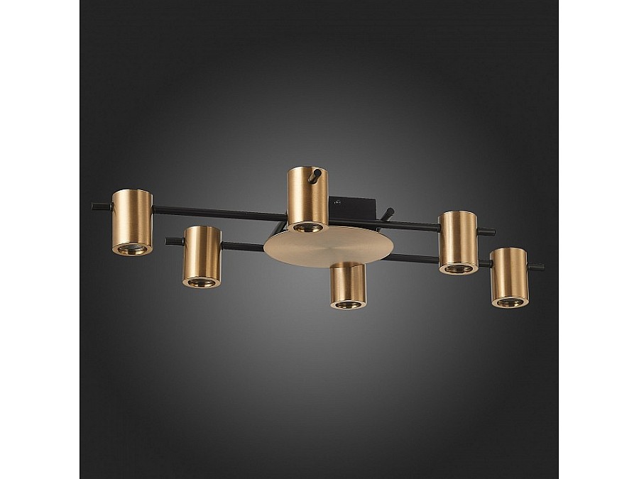 Потолочная люстра ST-Luce Veroli SL1207.402.06