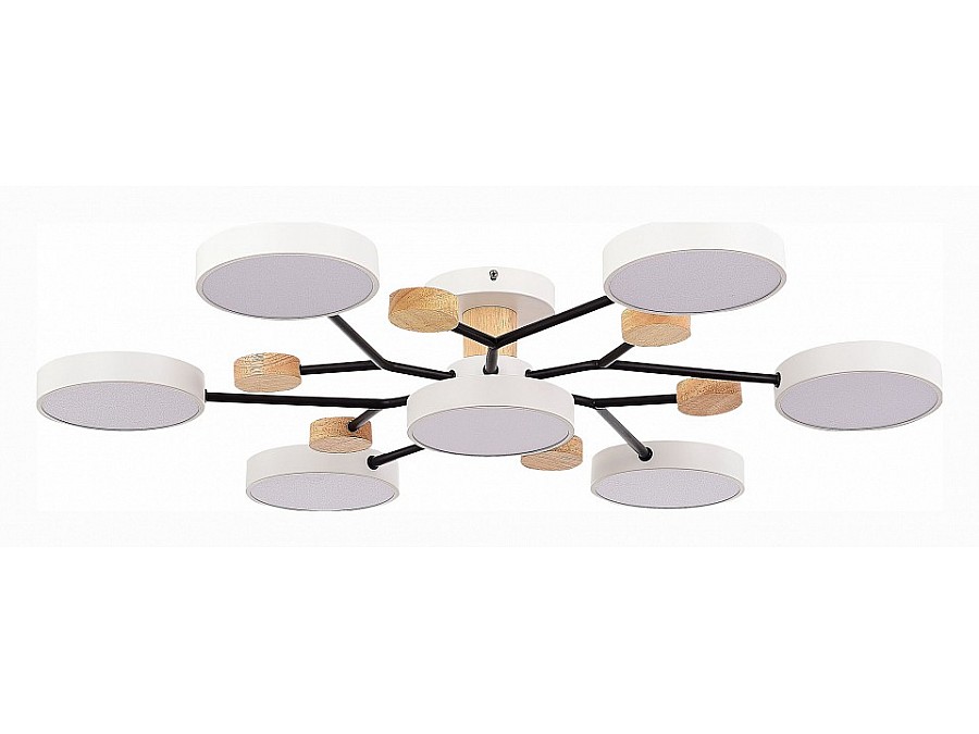 Потолочная люстра EVOLUCE Faema SLE6006-502-07