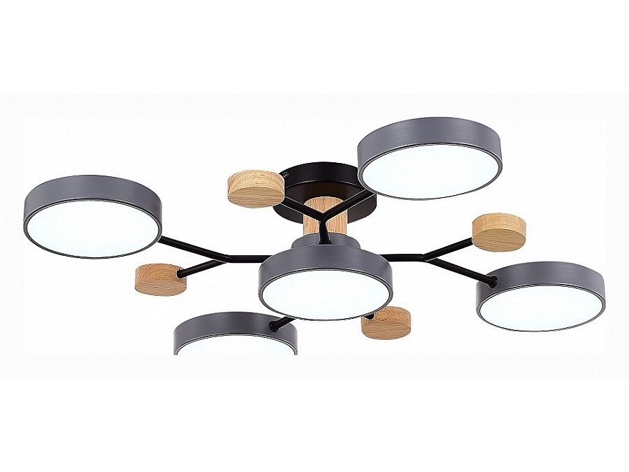 Потолочная люстра EVOLUCE Faema SLE6006-702-05