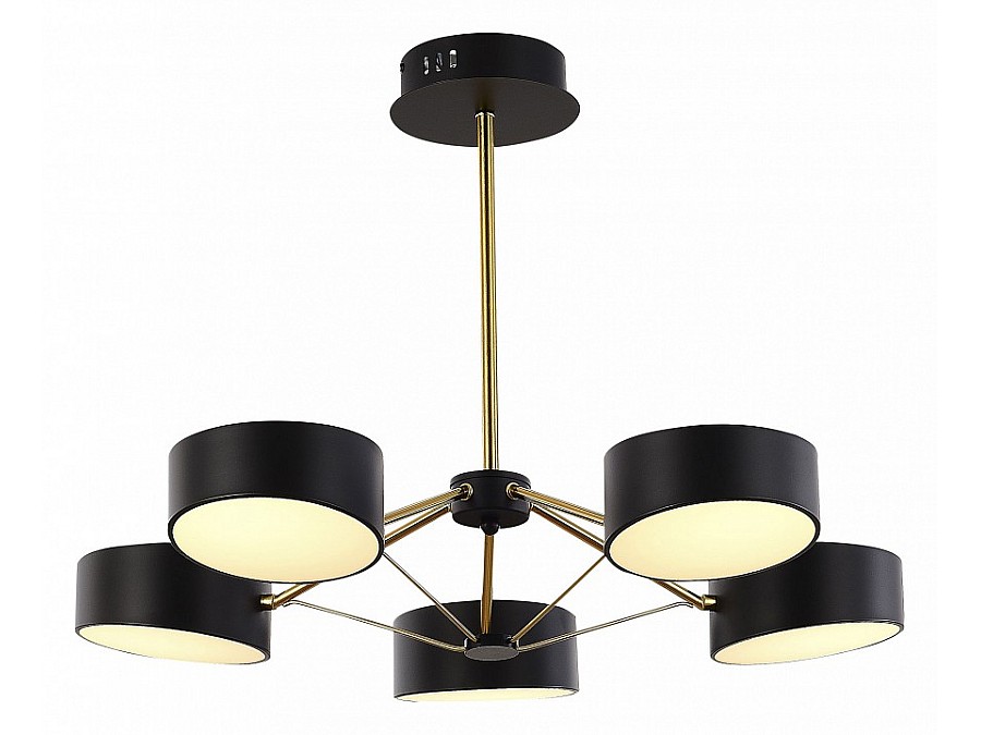 Люстра на штанге EVOLUCE Valle SLE6005-402-05