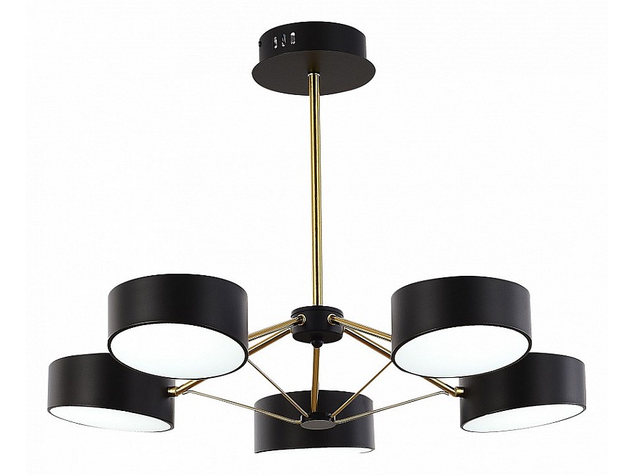 Люстра на штанге EVOLUCE Valle SLE6005-402-05