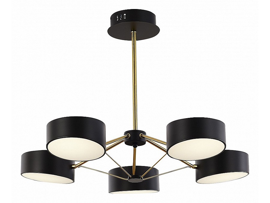Люстра на штанге EVOLUCE Valle SLE6005-402-05
