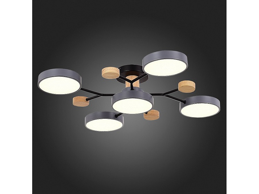 Потолочная люстра EVOLUCE Faema SLE6006-702-05