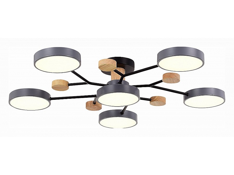 Потолочная люстра EVOLUCE Faema SLE6006-702-06