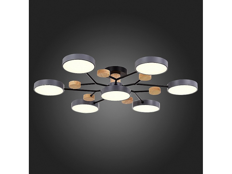 Потолочная люстра EVOLUCE Faema SLE6006-702-07