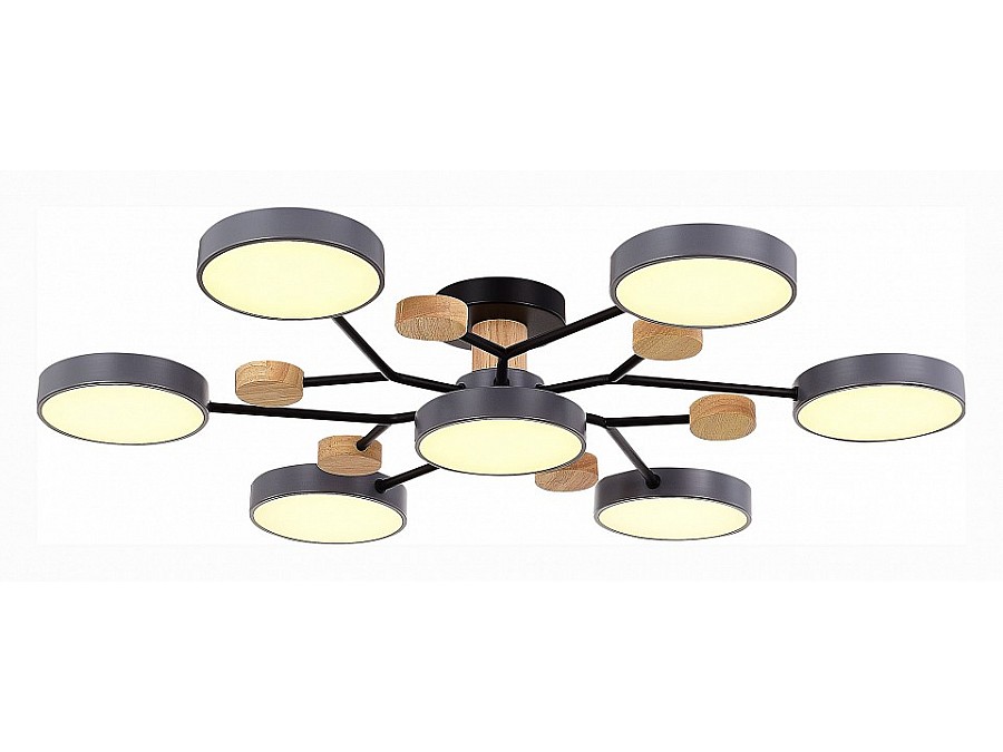 Потолочная люстра EVOLUCE Faema SLE6006-702-07