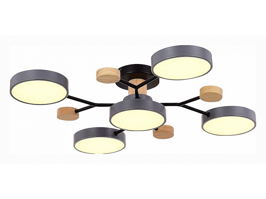 Потолочная люстра EVOLUCE Faema SLE6006-702-05