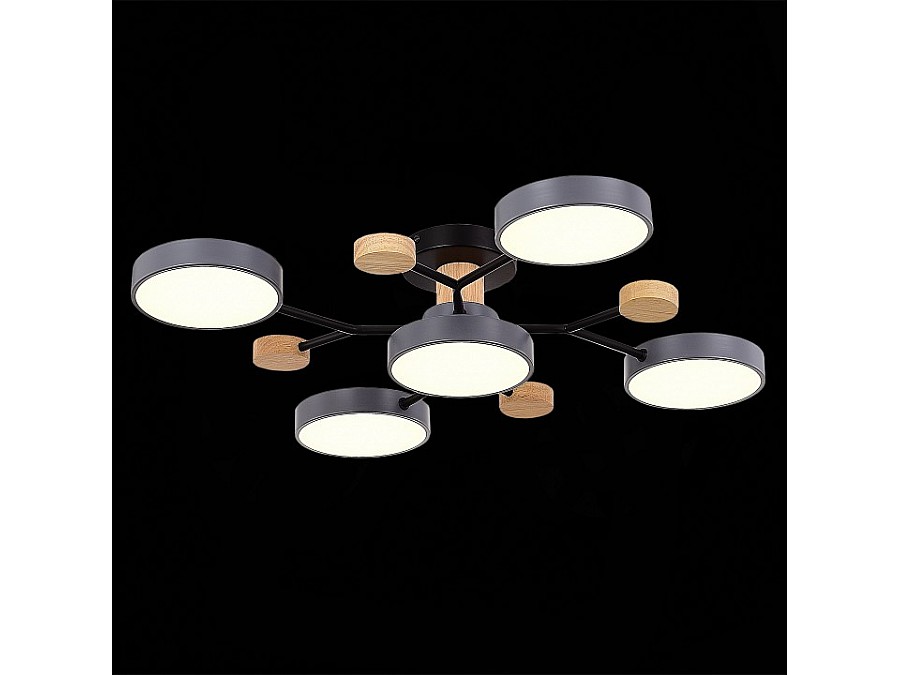 Потолочная люстра EVOLUCE Faema SLE6006-702-05