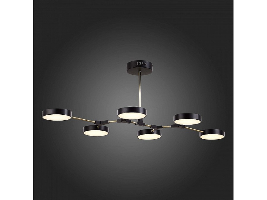 Люстра на штанге EVOLUCE Monta SLE6004-402-06