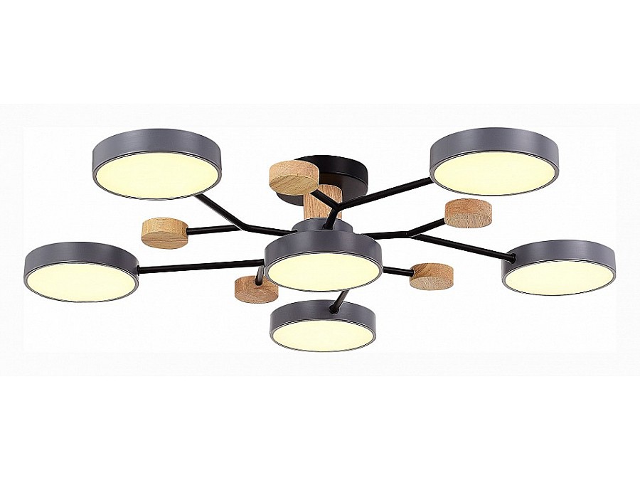 Потолочная люстра EVOLUCE Faema SLE6006-702-06