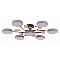 Потолочная люстра EVOLUCE Faema SLE6006-702-07