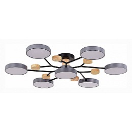 Потолочная люстра EVOLUCE Faema SLE6006-702-07