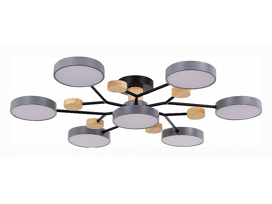Потолочная люстра EVOLUCE Faema SLE6006-702-07