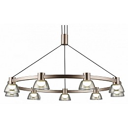 Подвесная люстра Aployt Rezeda APL.788.03.09