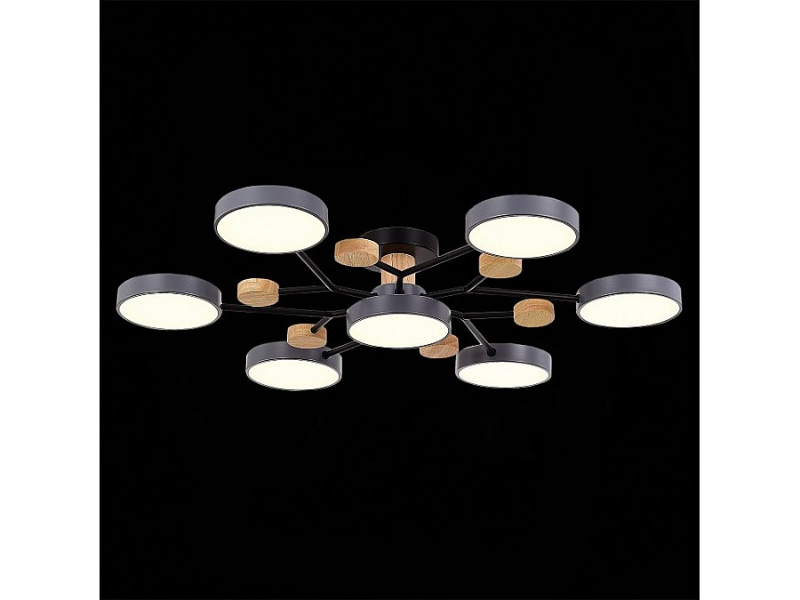 Потолочная люстра EVOLUCE Faema SLE6006-702-07