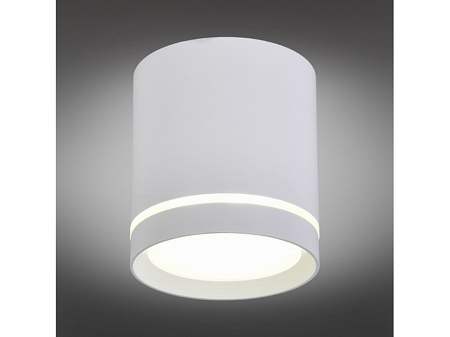 Накладной светильник Omnilux Capurso OML-102409-05