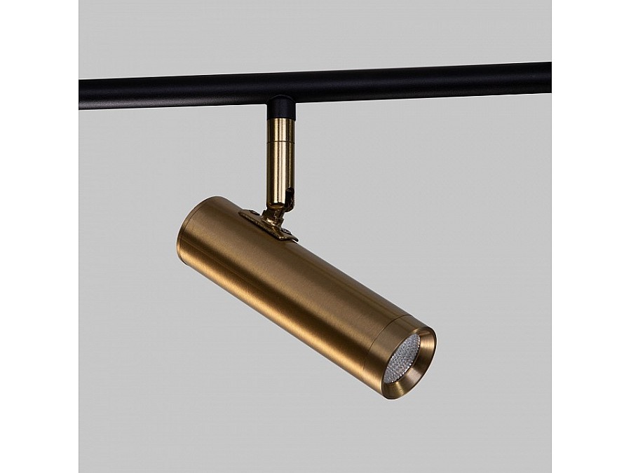 Светильник на штанге Eurosvet Epiphania 20252/6 LED черный/латунь