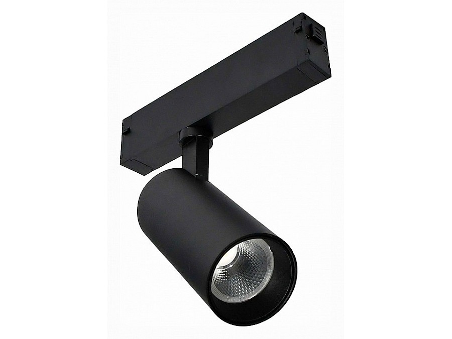 Светильник на штанге ST-Luce SKYLINE 220 ST660.446.10