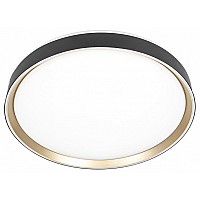 Накладной светильник Citilux BOSS CL751451G