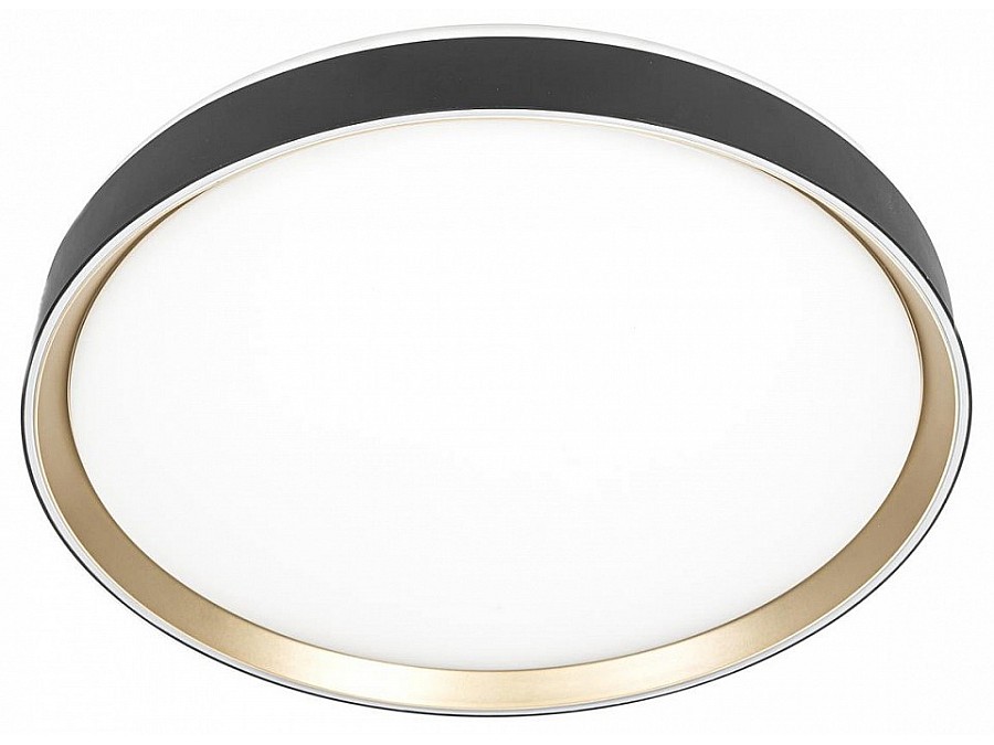 Накладной светильник Citilux BOSS CL751451G