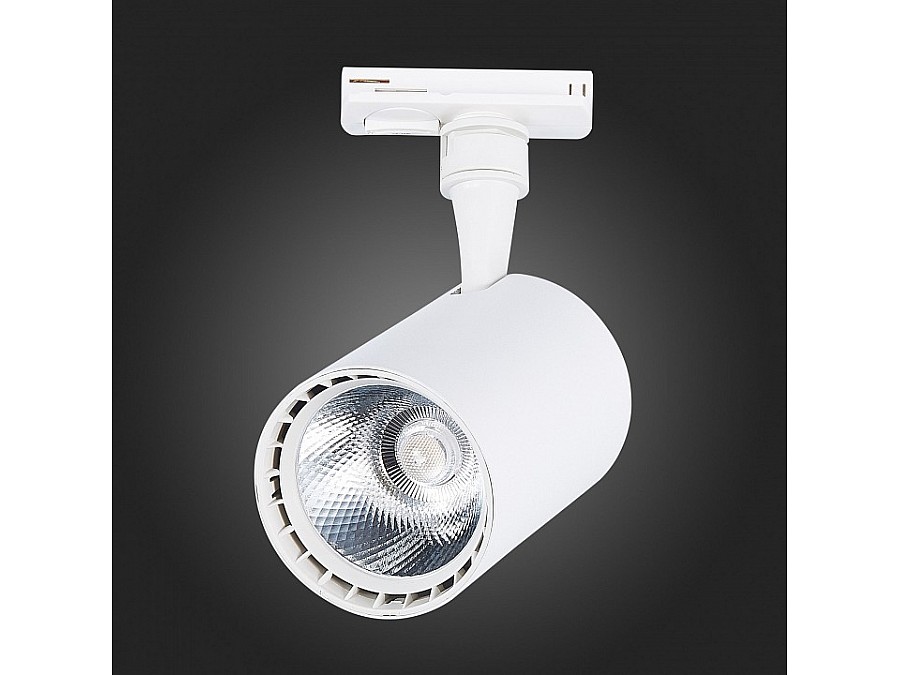 Светильник на штанге ST-Luce Cami ST351.536.20.36