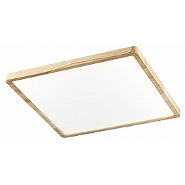 Накладной светильник Citilux Бейсик CL738K502V