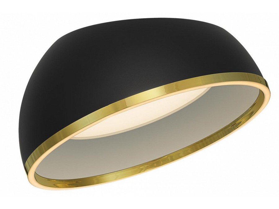 Накладной светильник Citilux FLOOM CL736151