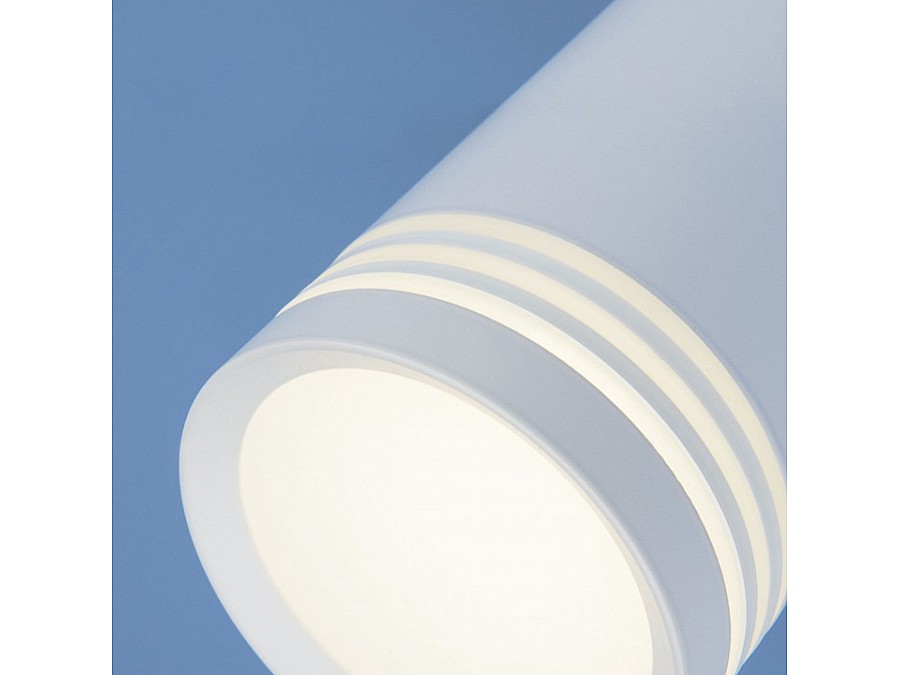 Накладной светильник Elektrostandard DLR032 a041262