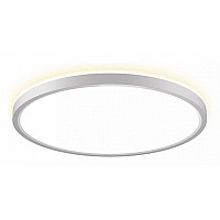 Накладной светильник Citilux NORMA CL748320