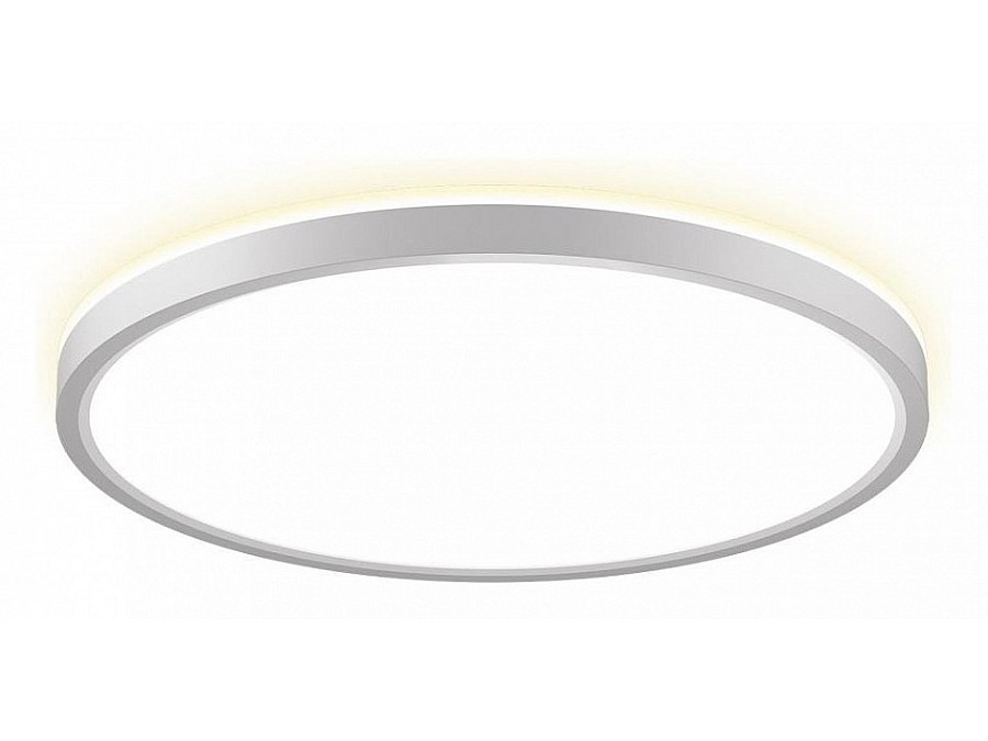 Накладной светильник Citilux NORMA CL748320