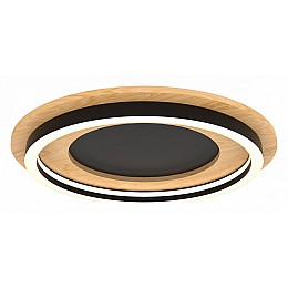 Накладной светильник Lightstar Lodi 723017