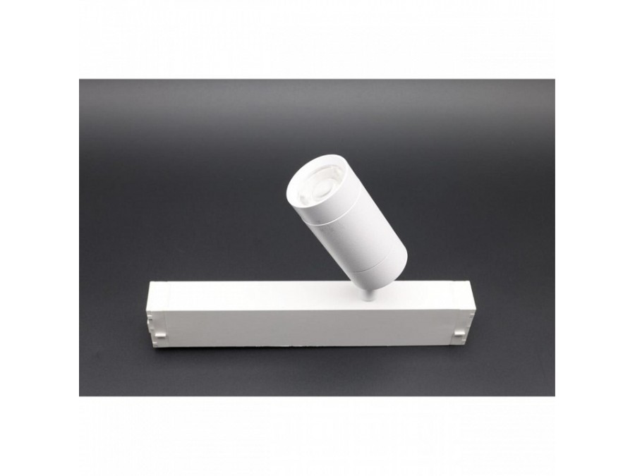 Светильник на штанге Aployt Magnetic track 220 APL.0204.10.07