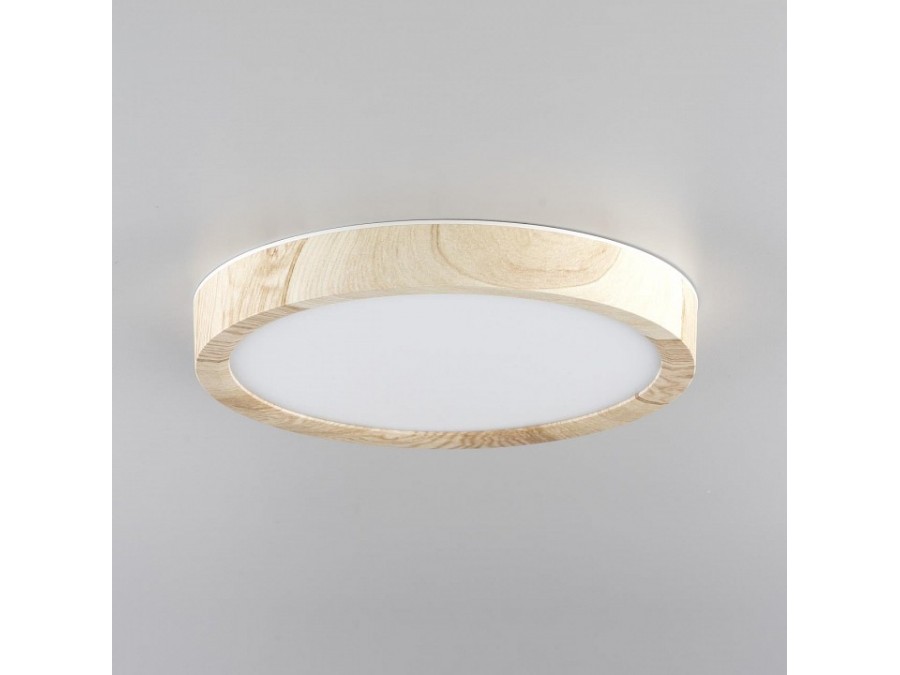 Накладной светильник Citilux Бейсик CL738122N