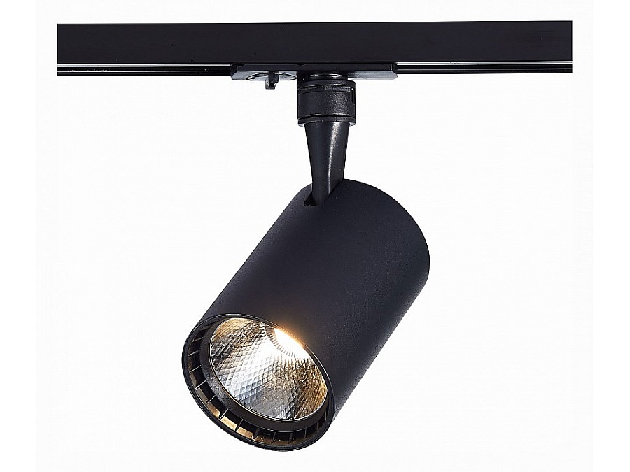 Светильник на штанге ST-Luce Cami ST351.446.30.36