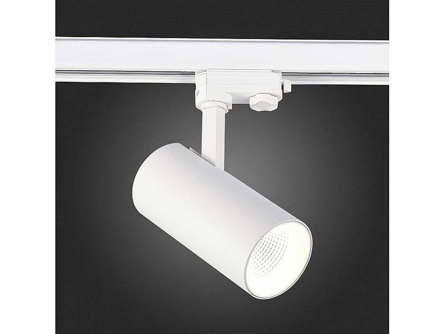 Светильник на штанге ST-Luce ST661 ST661.536.30