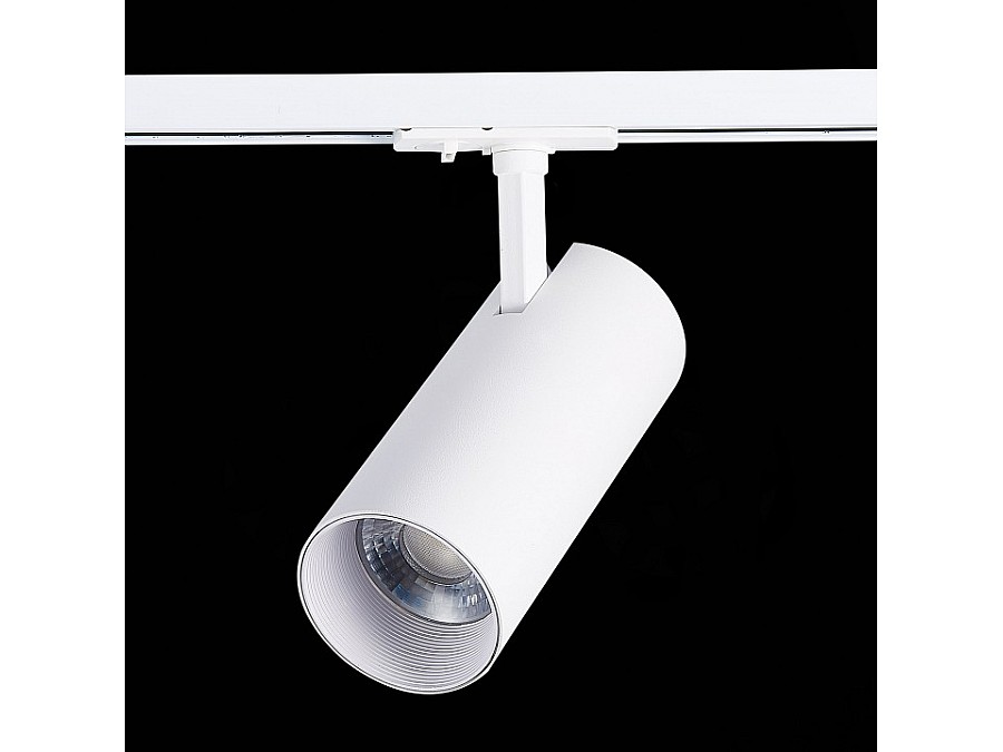 Светильник на штанге ST-Luce Mono ST350.536.30.36