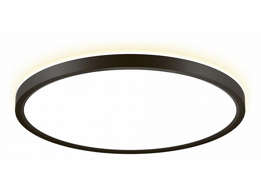 Накладной светильник Citilux NORMA CL748321