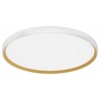 Накладной светильник EVOLUCE HELST SLE1810-502-01