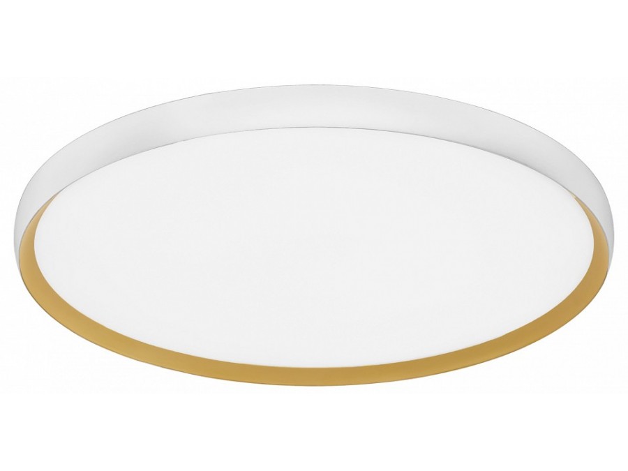 Накладной светильник EVOLUCE HELST SLE1810-502-01