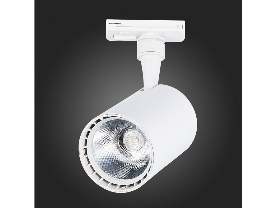 Светильник на штанге ST-Luce Cami ST351.546.20.36