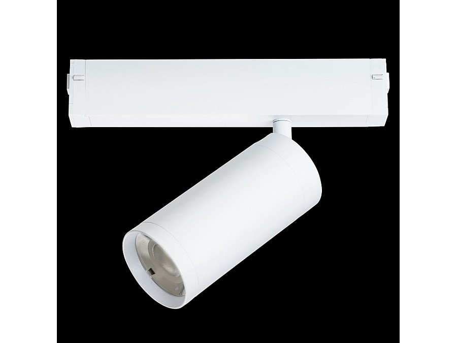 Светильник на штанге Lightstar Teta 205036