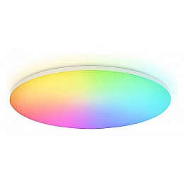 Накладной светильник Ambrella Light FZ FZ2003