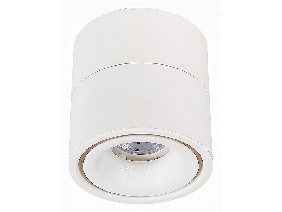 Светильник на штанге ST-Luce ST652 ST652.532.12