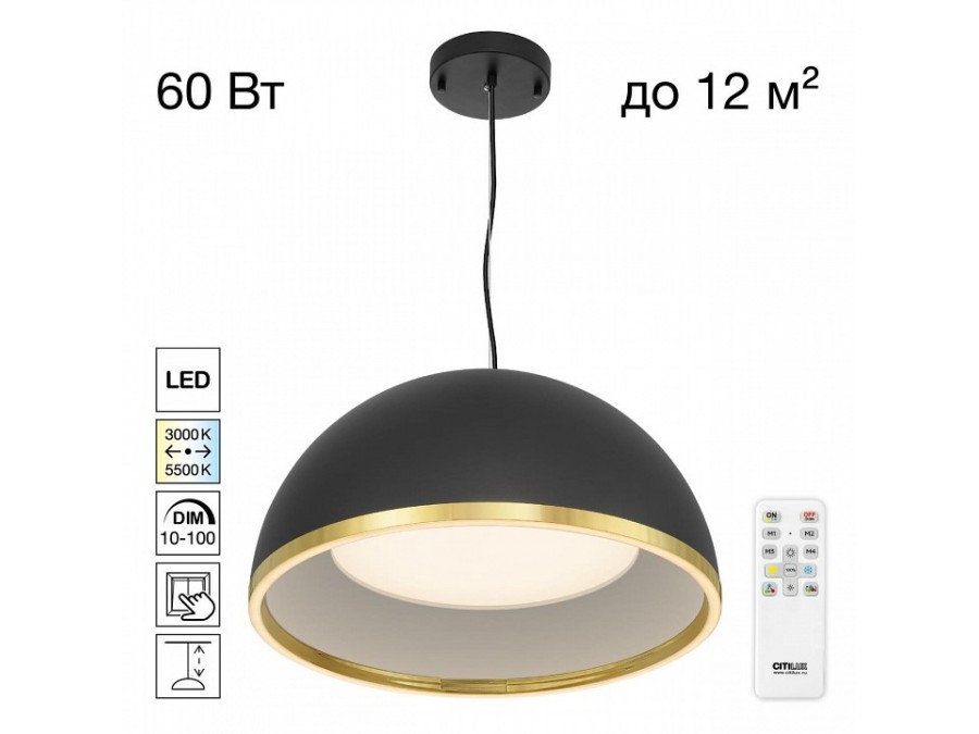 Подвесной светильник Citilux FLOOM CL736251