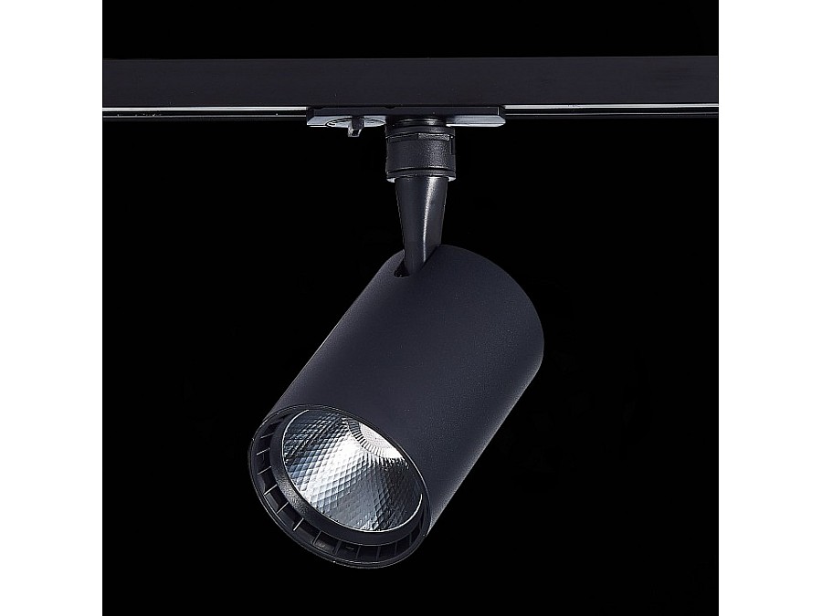 Светильник на штанге ST-Luce Cami ST351.436.30.36