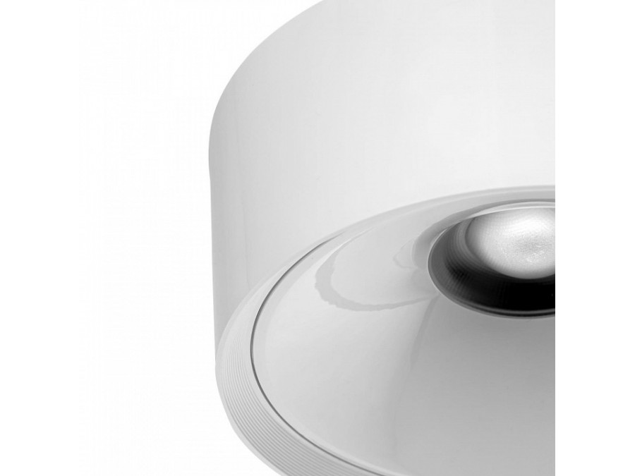 Накладной светильник Citilux Rover CL743090N