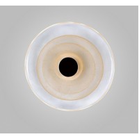 Накладной светильник Aployt Stusia APL.350.01.03